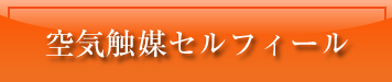 空気触媒セルフィール