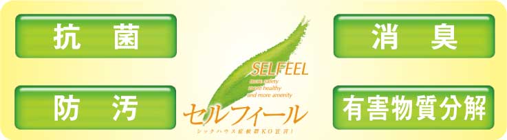 空気触媒セルフィール有効ポイント